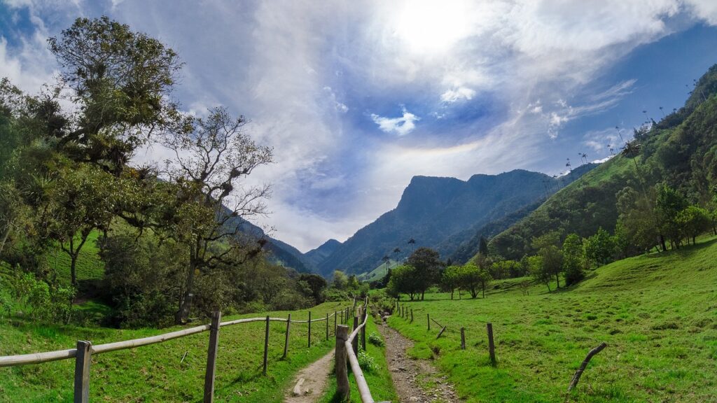 valle de cocora, salento, colombia, palma, cocora, valley, green, quindio, clouds, nature, darling, horse, salento, salento, colombia, colombia, colombia, colombia, colombia, cocora, cocora, cocora, quindio, quindio, quindio, quindio, quindio